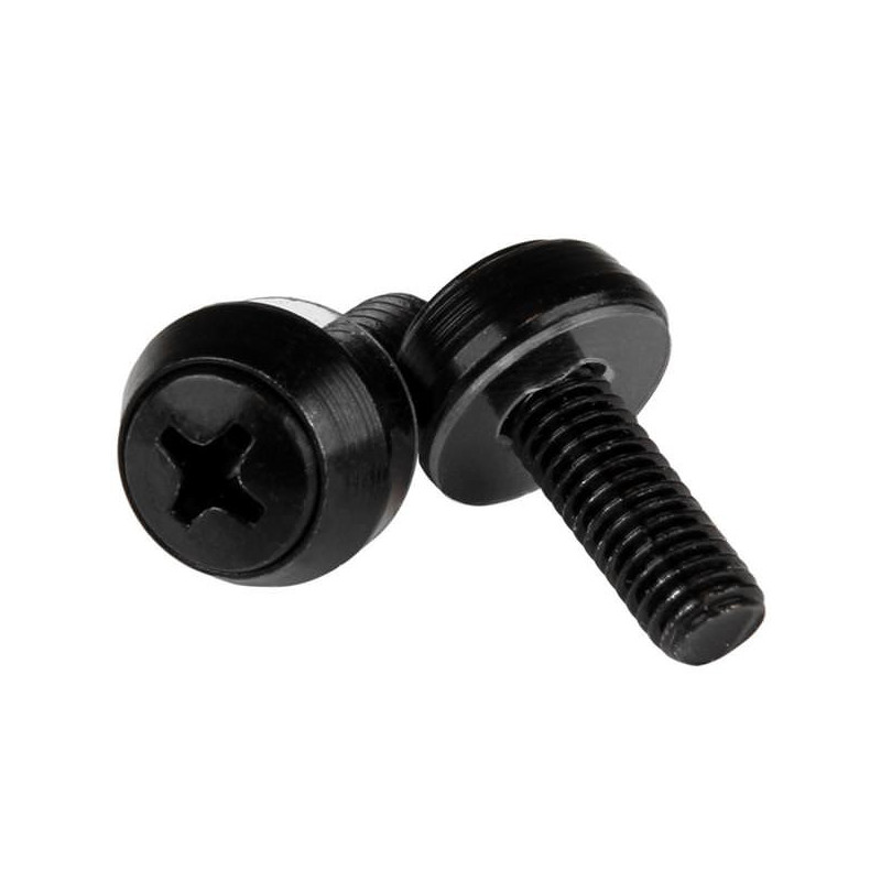 STARTECH PAQUETE 100 TORNILLOS M6X12MM NEGRO