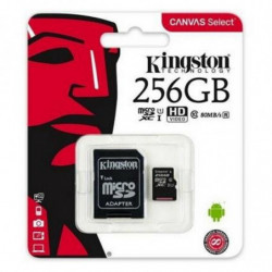 MEMORIA MICRO SD 256GB...