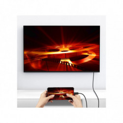 CABLE EQUIP ADAPTADOR USB-C - DISPLAY PORT 1M