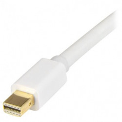 STARTECH CABLE CONVERSOR...
