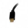 STARTECH ADAPTADOR CONVERSOR VIDEO MINI DISPLAYPOR
